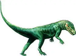 Ornitosuchus