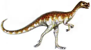 Oviraptor philoceratops