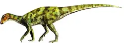 Parksosaurus warrenae