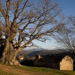 Carbayón de ValentínI