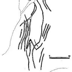 Conjunto VII. Antropomorfo