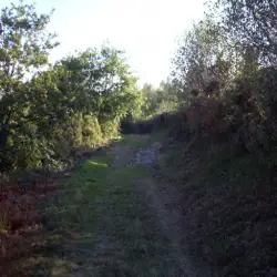 Área de matorrales II