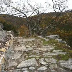 Calzada romana de Rioseco