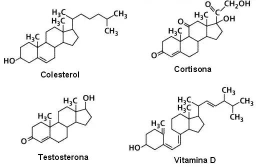 Algunos esteroides