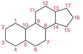 Estructura del ciclopentano perhidrofenantreno